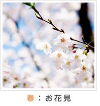 春：お花見
