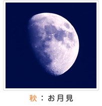 秋：お月見